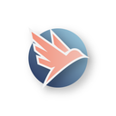 We nemen deel aan BIS en méér